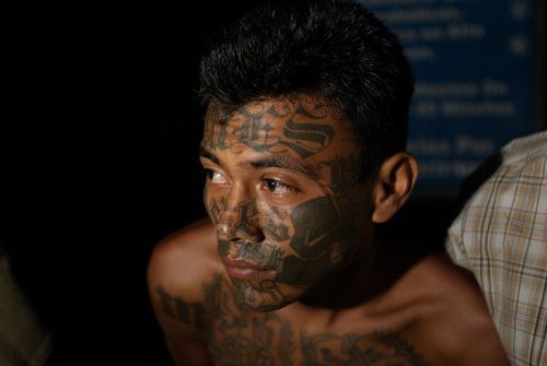 Biden Presidency Investigated After MS-13 Gang Killing of Maryland Autistic Lady