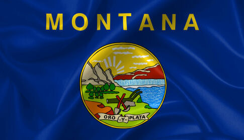Montana state flag with emblem, Oro y Plata.