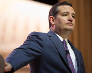 Senator Ted Cruz Wants Term Limits For US Senators