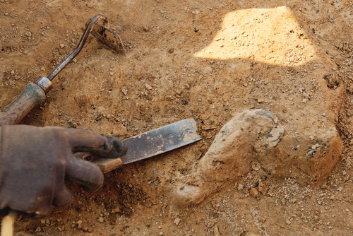 Unearthing Three Million Year-Old Stone Tools